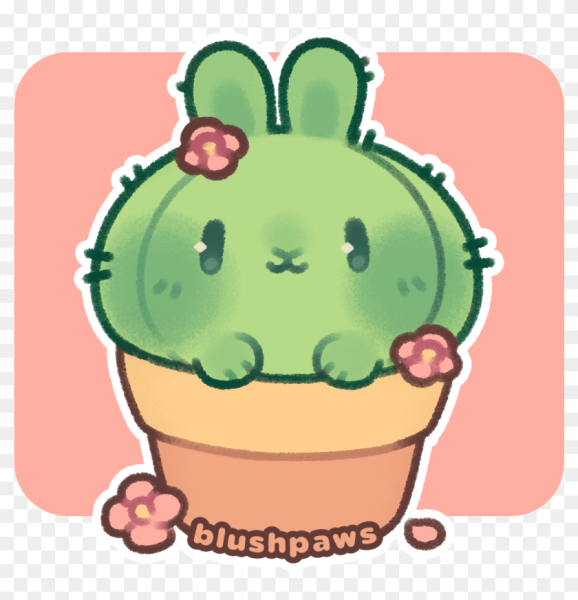 Кактус Каваи