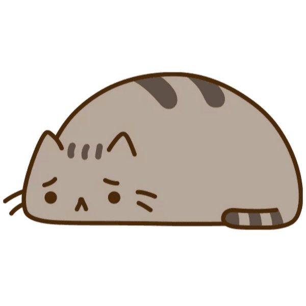 Черный кот плачет