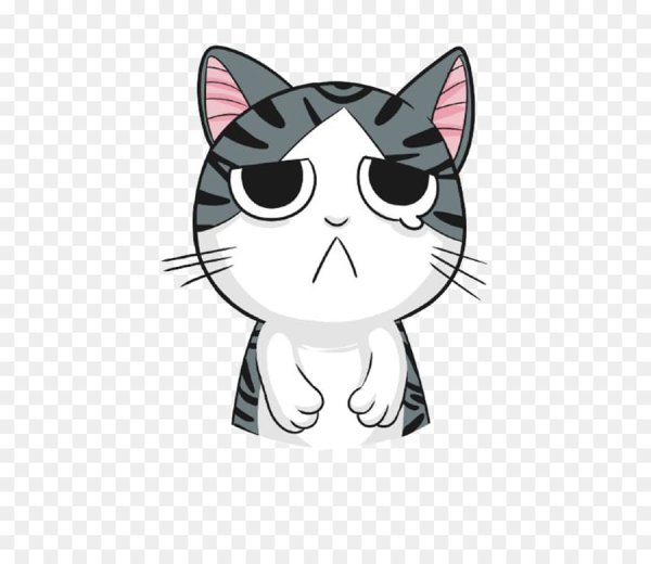 Милый котик карандашом