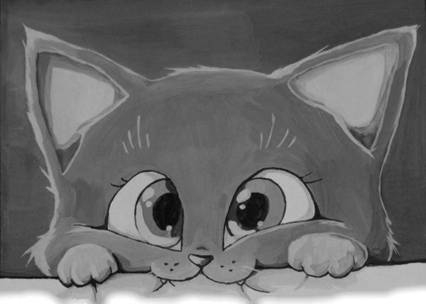 Милые котики рисунки для срисовки