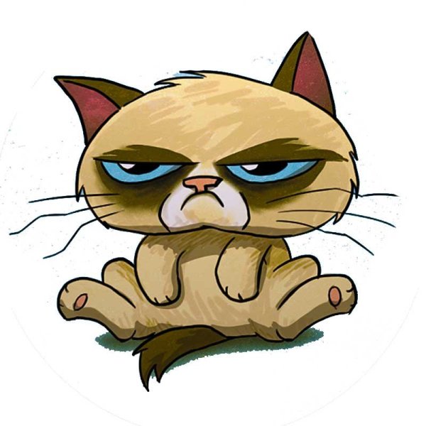 Котик из Шрека