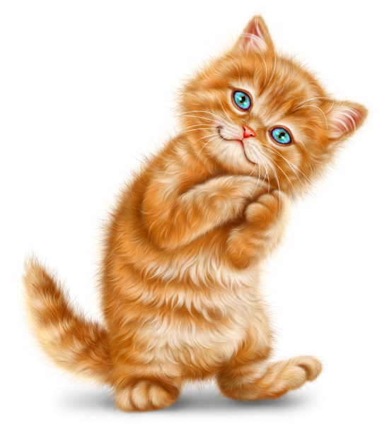 Рыжий кот рисунок