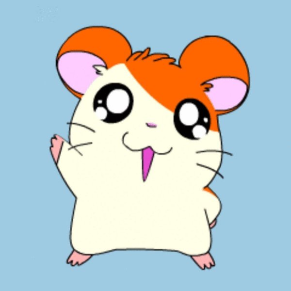 Hamtaro аниме