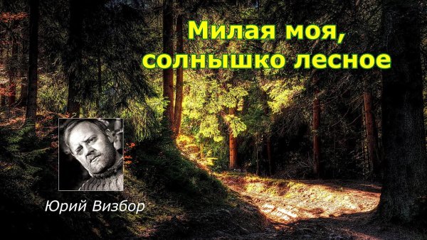 Визбор милая моя солнышко Лесное
