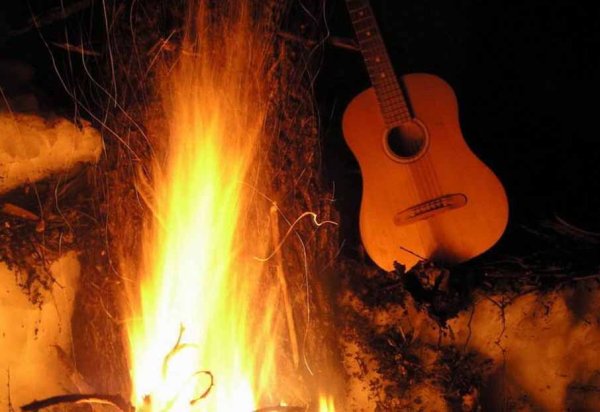 Лес гитара костер
