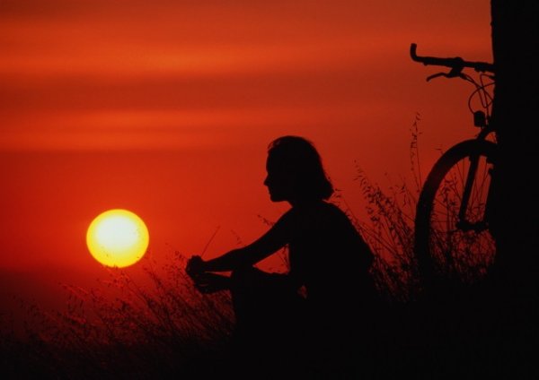 Юрий Визбор солнышко Лесное текст