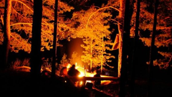 Ирина Попова художник