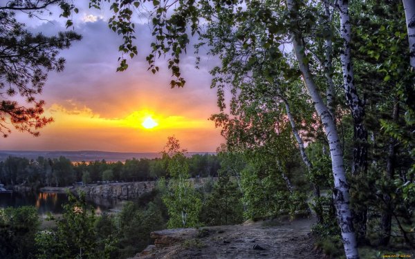 Друзья у костра