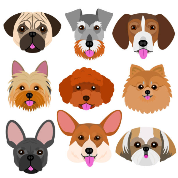 Мордочка собачки круглая