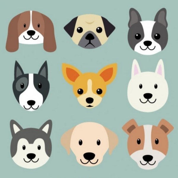 Мордочка собаки