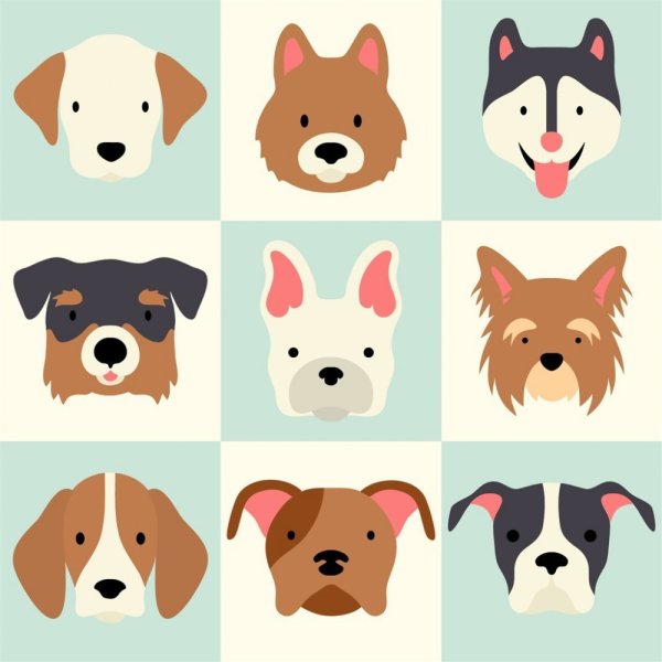 Мордочка собачки вектор