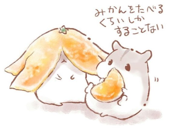 Милый хомячок с печенькой рисунок