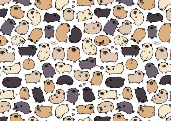 Стикеры кот Пушин