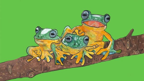 Обои с жабами милые