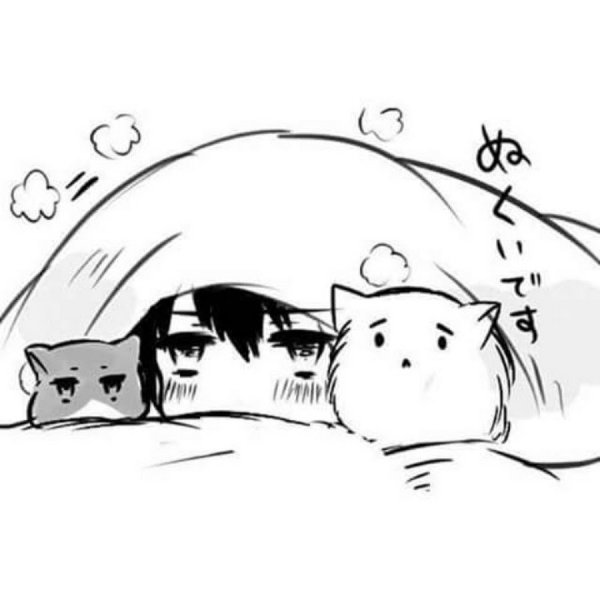 Аниме кот чб