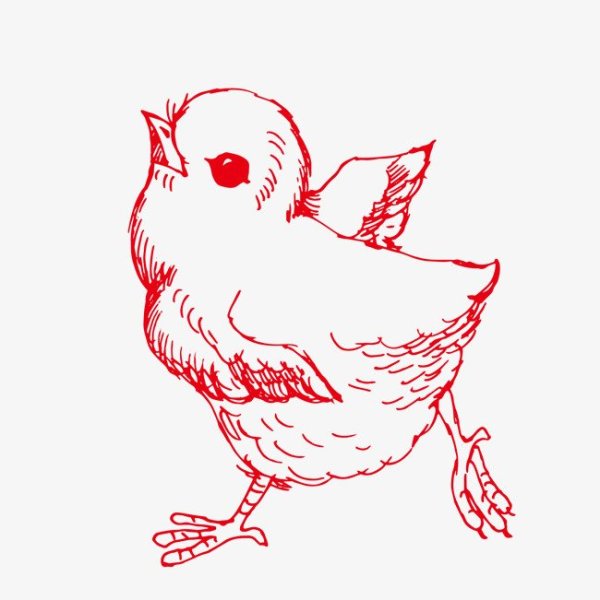 Курица рисунок карандашом