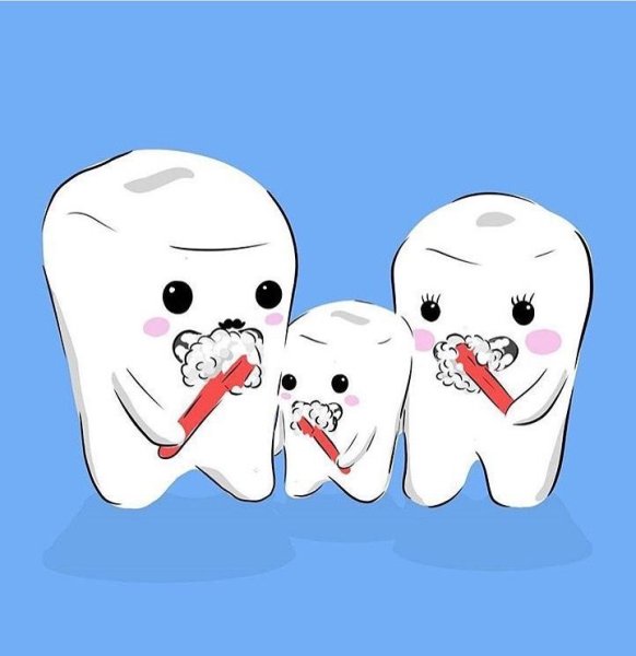 Зуб рисунок