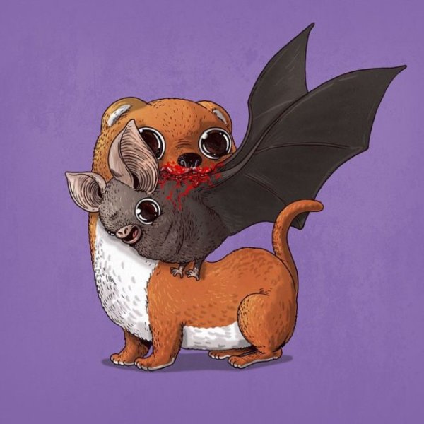 Алекс Солис милые хищники