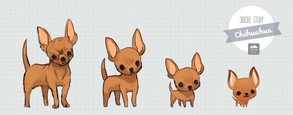 Чихуахуа аниме