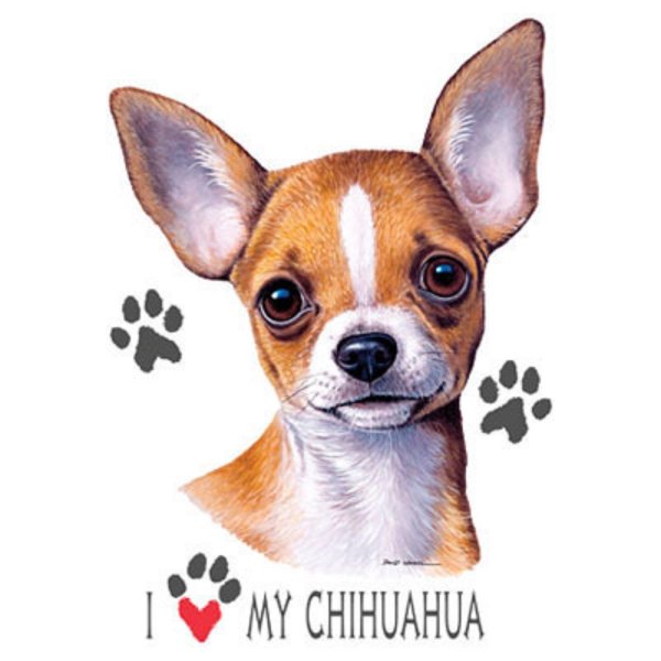 Классные узоры на чихуахуа