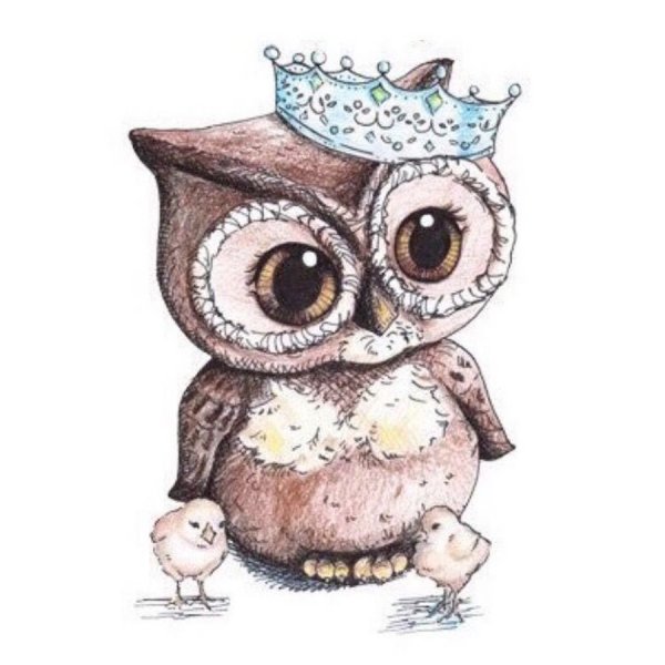 Совушки мультяшные