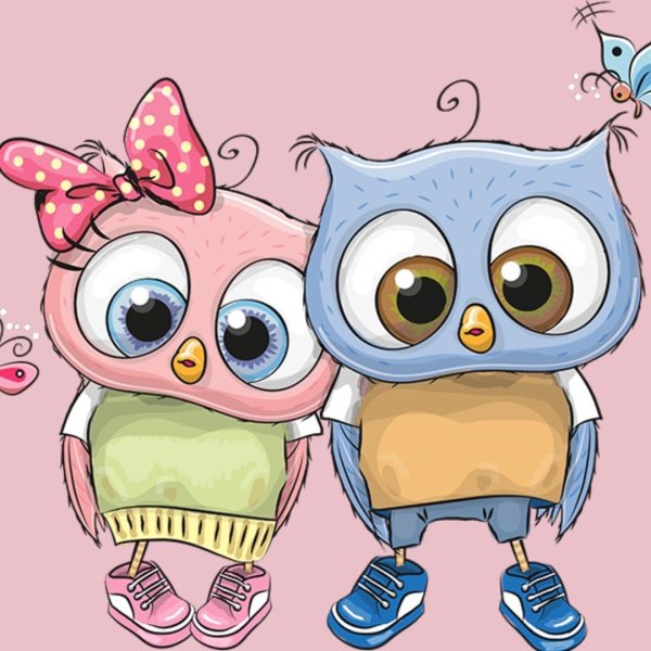 Инга Пальцер Совы