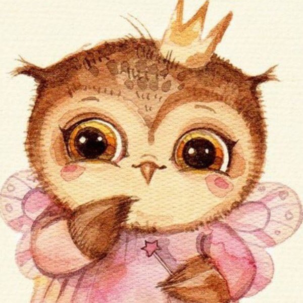 Милый Совенок рисунок