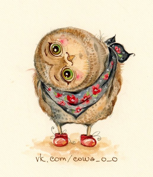 Влюбленные Совы