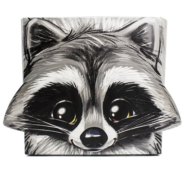 Енот рисунок