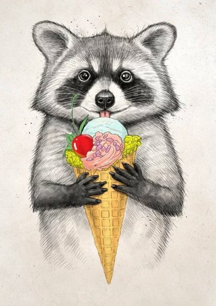 Красивые рисунки енота