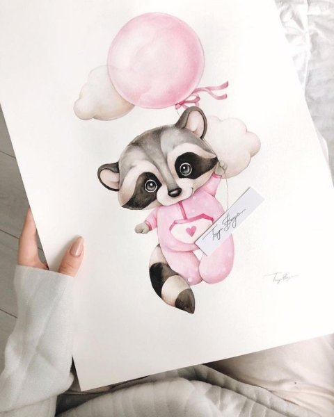 Милый Енотик рисунок