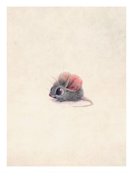 Сидни Хэнсон Sydney Hanson