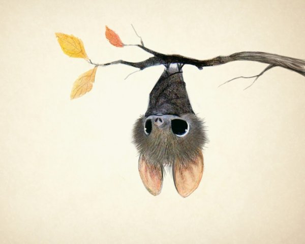 Сидни Хэнсон Sydney Hanson