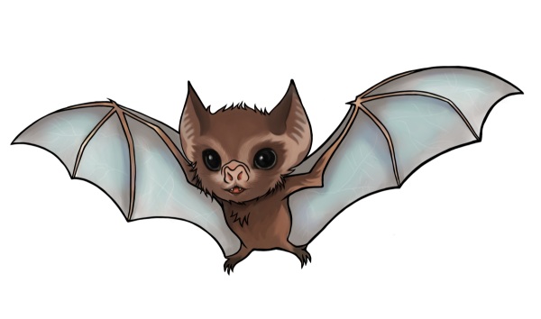 Летучая мышь в шарфе картинка для детей