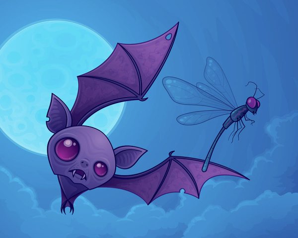 Летучая мышь рисунок