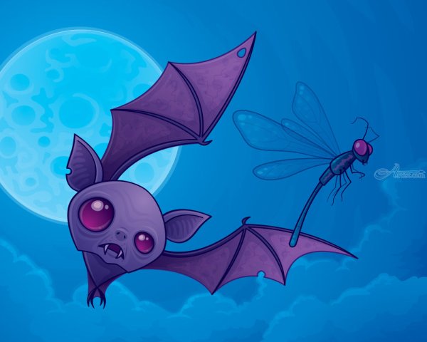 Летучая мышь аниме