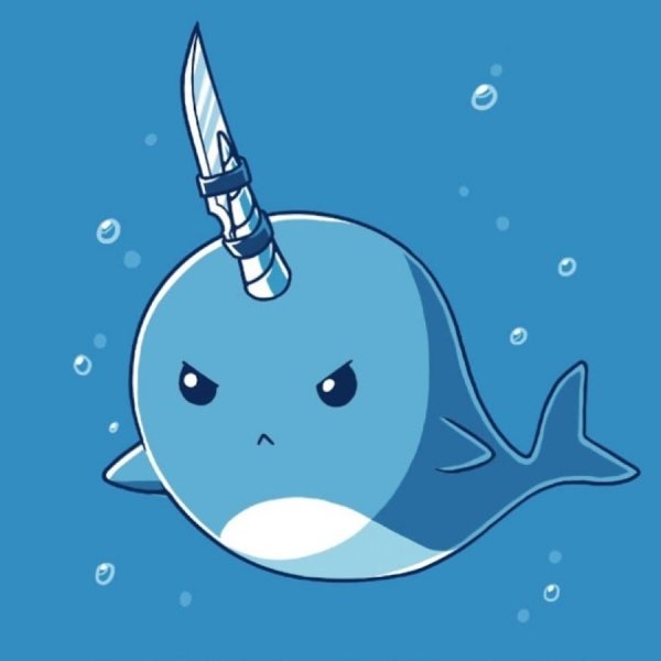 Нарвал милый