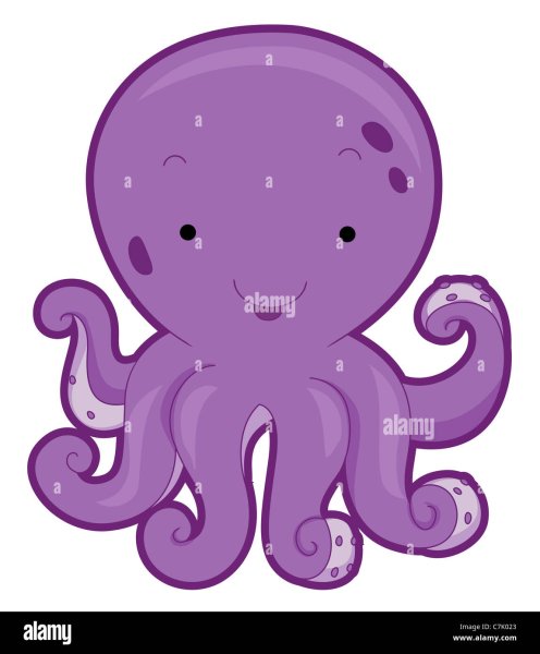 Милая Осьминожка