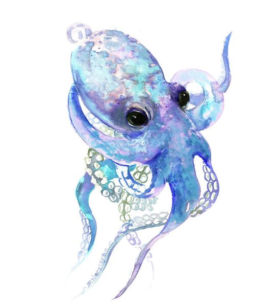 Милый осьминог