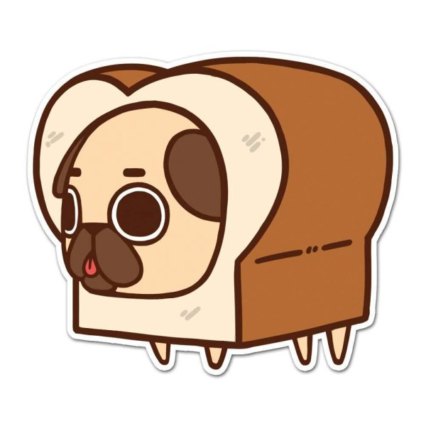 Puglie Pug рисунки