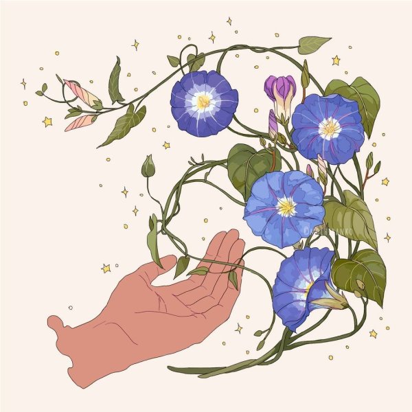 Милые цветы рисунок