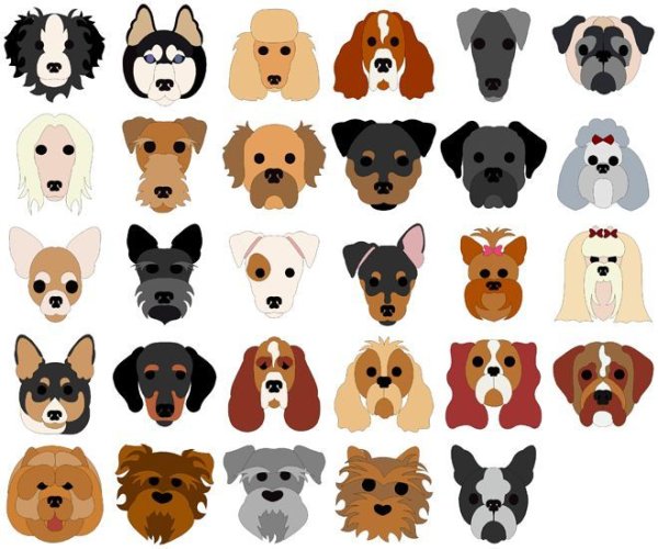 Мордочка собачки