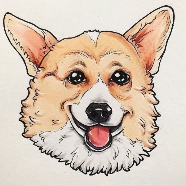 Вельш корги рисунок