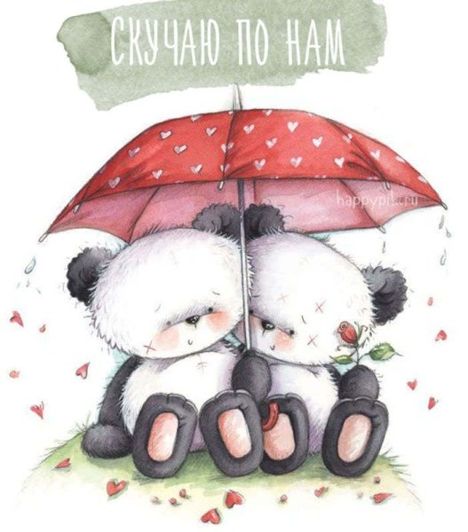 Татти Тедди