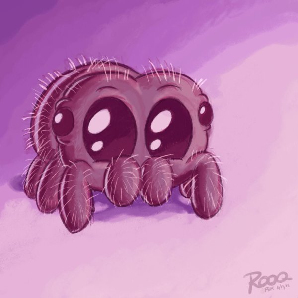 Паучок Лукас арт