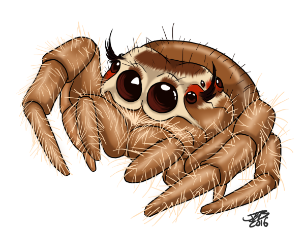 Паук мультяшный
