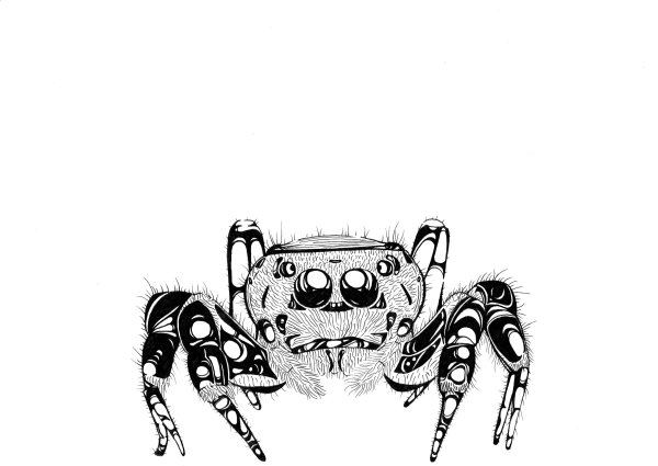 Милые пауки