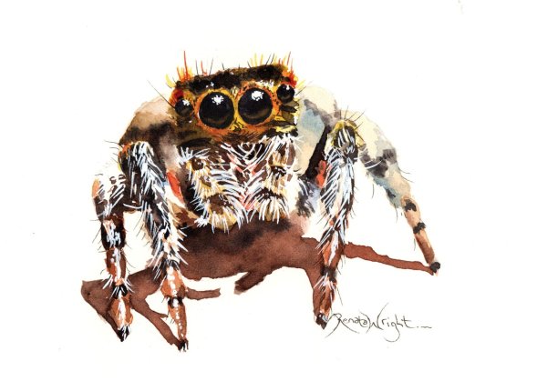 Милый паук арт