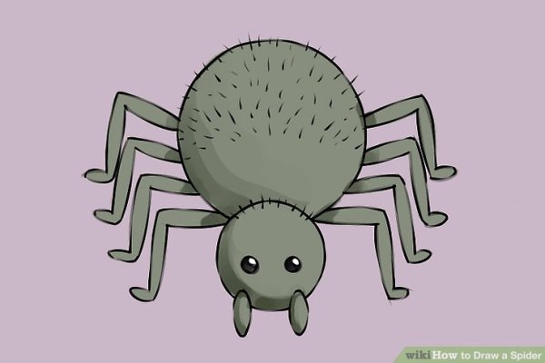 Милые паучки для срисовки