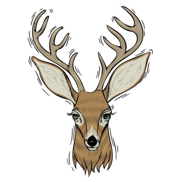 Олень голова рисунок со стороны детям